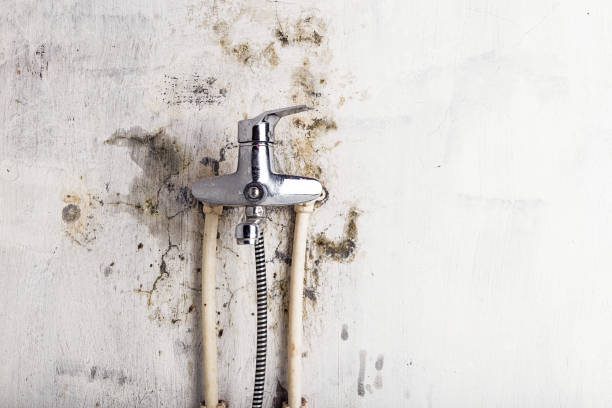 Best Water Damage Restoration  in Glenwood, AR